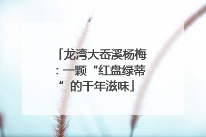 龙湾大岙溪杨梅：一颗“红盘绿蒂”的千年滋味