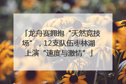 龙舟赛拥抱“天然竞技场”，12支队伍枣林湖上演“速度与激情”