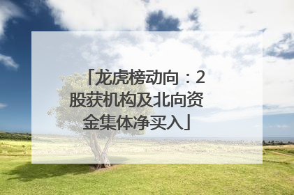 龙虎榜动向：2股获机构及北向资金集体净买入
