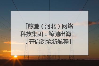 鲸驰（河北）网络科技集团：鲸驰出海，开启跨境新航程