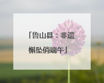鲁山县：非遗槲坠俏端午