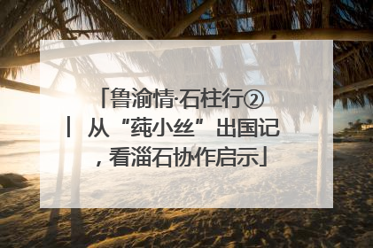 鲁渝情·石柱行② ︳从“莼小丝”出国记，看淄石协作启示