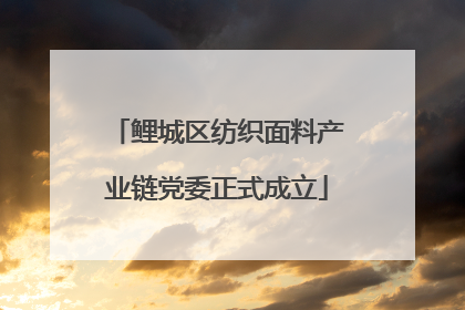 鲤城区纺织面料产业链党委正式成立