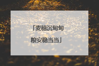 麦穗沉甸甸 粮安稳当当