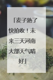 麦子熟了快抢收！未来三天河南大部天气晴好