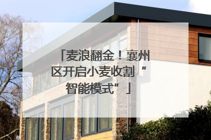 麦浪翻金！襄州区开启小麦收割“智能模式”