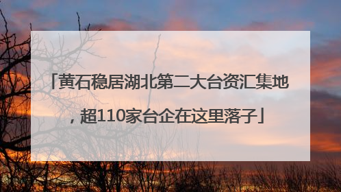 黄石稳居湖北第二大台资汇集地，超110家台企在这里落子