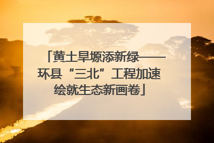黄土旱塬添新绿——环县“三北”工程加速绘就生态新画卷