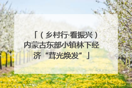 （乡村行·看振兴）内蒙古东部小镇林下经济“茸光焕发”
