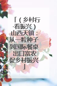 （乡村行·看振兴）山西天镇：从一粒种子到国际餐桌 出口富农促乡村振兴