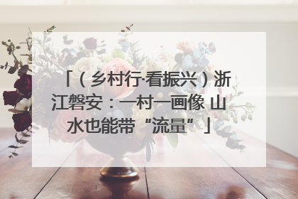 （乡村行·看振兴）浙江磐安：一村一画像 山水也能带“流量”
