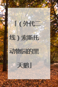 （外代二线）索斯托动物园的黑天鹅