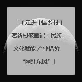 （走进中国乡村）茗新村破圈记：民族文化赋能 产业借势 “网红东风”