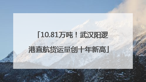 10.81万吨!武汉阳逻港直航货运量创十年新高