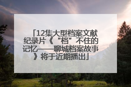 12集大型档案文献纪录片《“档”不住的记忆——聊城档案故事》将于近期播出