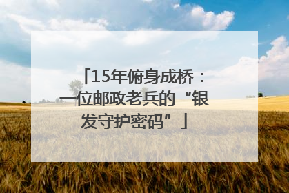 15年俯身成桥：一位邮政老兵的“银发守护密码”