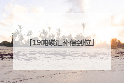 19吨碳汇补偿到位