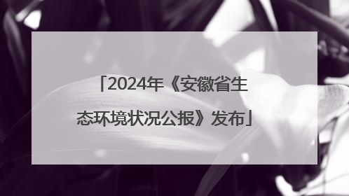 2024年《安徽省生态环境状况公报》发布