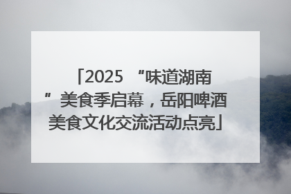 2025 “味道湖南”美食季启幕，岳阳啤酒美食文化交流活动点亮