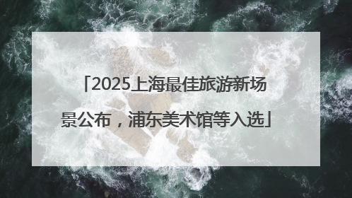 2025上海最佳旅游新场景公布，浦东美术馆等入选