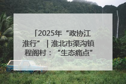 2025年“政协江淮行”｜淮北市渠沟镇程阁村：“生态痛点”变“生态景观”