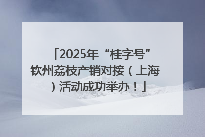 2025年“桂字号”钦州荔枝产销对接（上海）活动成功举办！