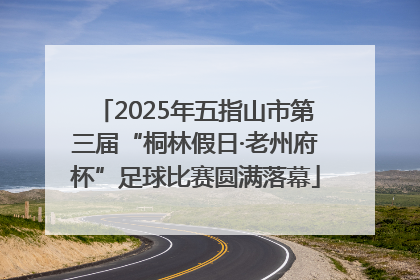 2025年五指山市第三届“桐林假日·老州府杯”足球比赛圆满落幕