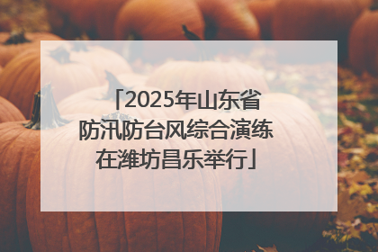 2025年山东省防汛防台风综合演练在潍坊昌乐举行