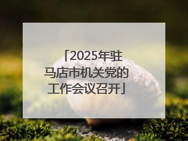 2025年驻马店市机关党的工作会议召开