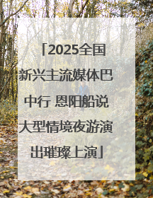 2025全国新兴主流媒体巴中行 恩阳船说大型情境夜游演出璀璨上演