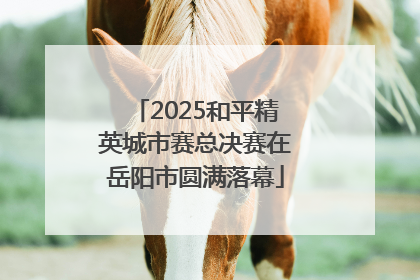 2025和平精英城市赛总决赛在岳阳市圆满落幕