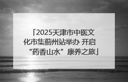 2025天津市中医文化市集蓟州站举办 开启“药香山水”康养之旅