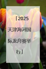 2025天津海河国际龙舟赛举行