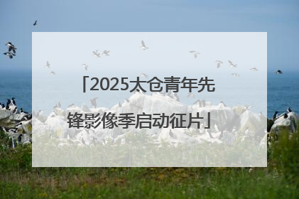 2025太仓青年先锋影像季启动征片