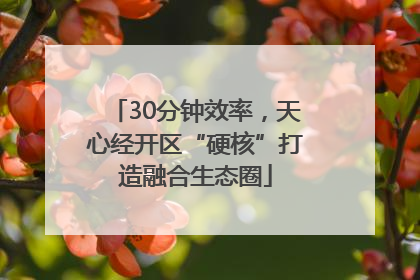 30分钟效率，天心经开区“硬核”打造融合生态圈