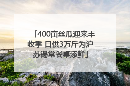 400亩丝瓜迎来丰收季 日供3万斤为沪苏锡常餐桌添鲜