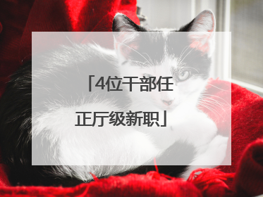 4位干部任正厅级新职