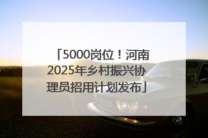 5000岗位！河南2025年乡村振兴协理员招用计划发布