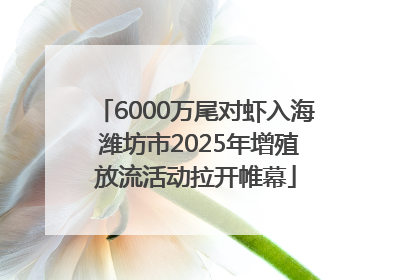 6000万尾对虾入海 潍坊市2025年增殖放流活动拉开帷幕