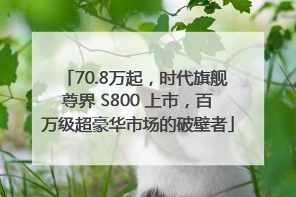 70.8万起，时代旗舰尊界 S800 上市，百万级超豪华市场的破壁者