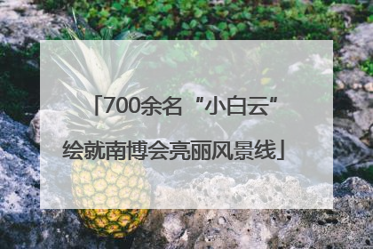 700余名“小白云”绘就南博会亮丽风景线