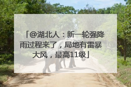@湖北人：新一轮强降雨过程来了，局地有雷暴大风，最高11级