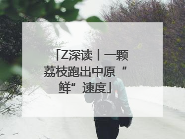 Z深读丨一颗荔枝跑出中原“鲜”速度